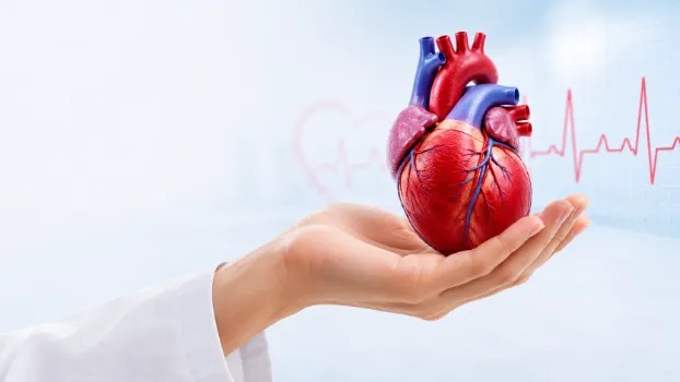 CARDIAC HEALTH CHECKUP >45 YRS